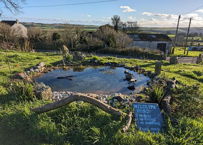 Clotted Cream -Lydcott Glamping, Cornish Sea Views